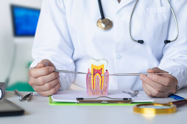 Best Emergency Dental Care for Broken or Chipped Teeth in Orange Beach, AL